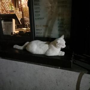 双飞二男同进一女泬
